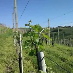 팜스테이 La Bioca 세라룽가달바