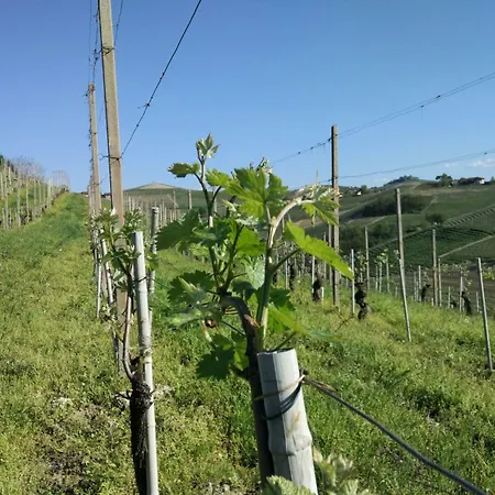 Farmház La Bioca Serralunga d'Alba
